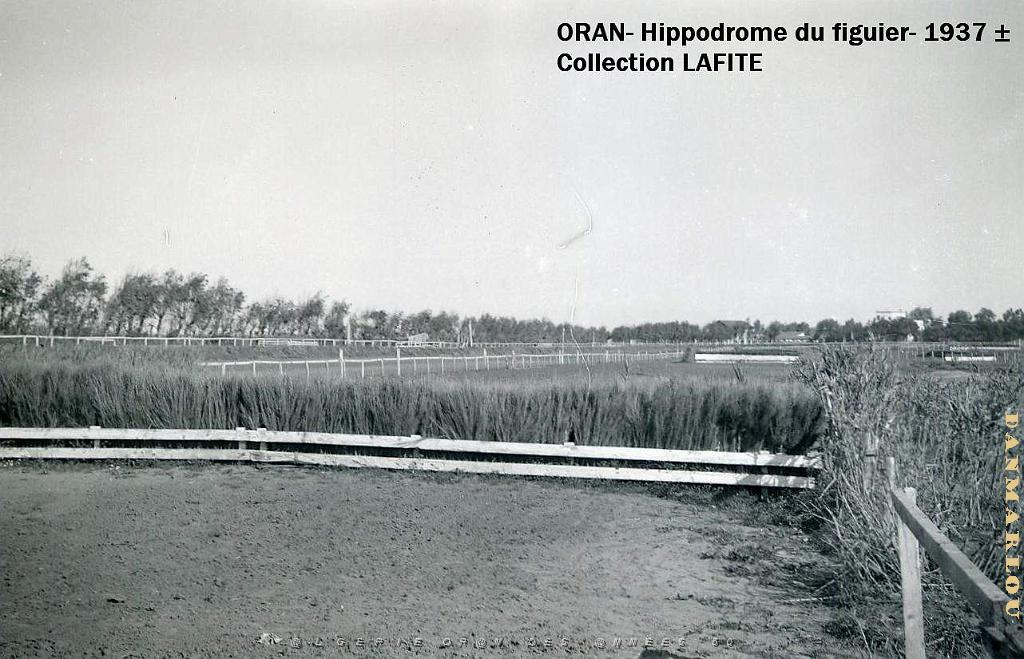 ORAN 1937 HYPPODROME DU FIGIER    (11).jpg